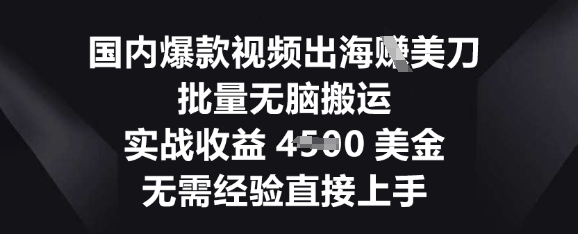 国内爆款视频出海挣美刀，批量无脑搬运，实战收益4.5k，无需经验直接上手-亮剑学堂