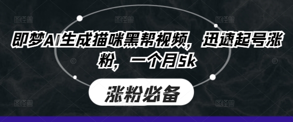 即梦AI生成猫咪黑帮视频，迅速起号涨粉，一个月5k-亮剑学堂
